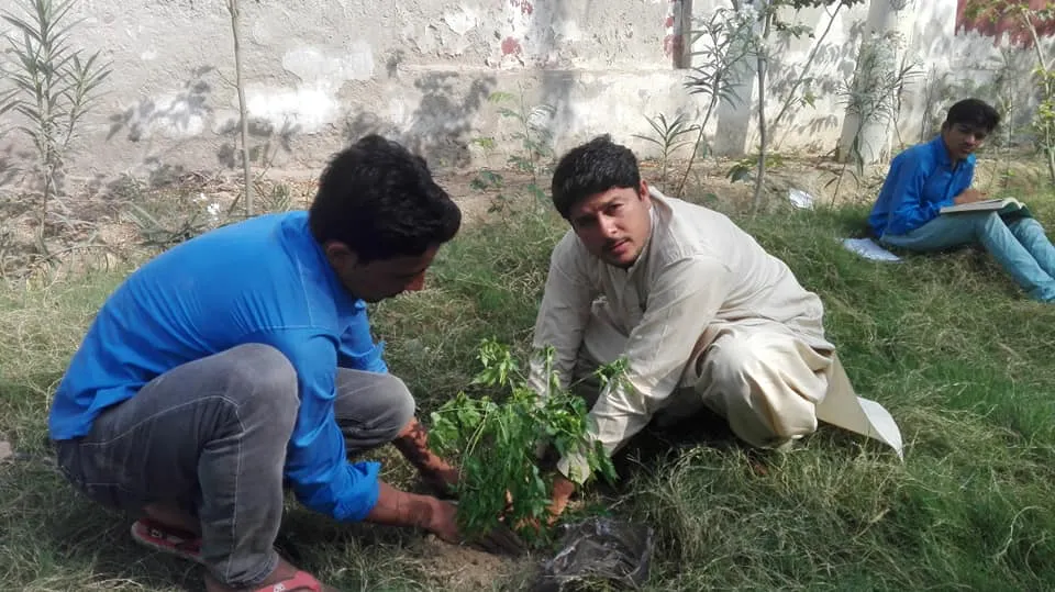 Green Seekers Activity